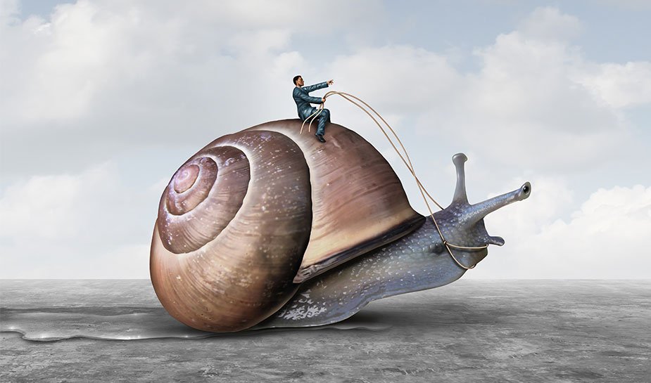 man in suit riding a big snail on the beach