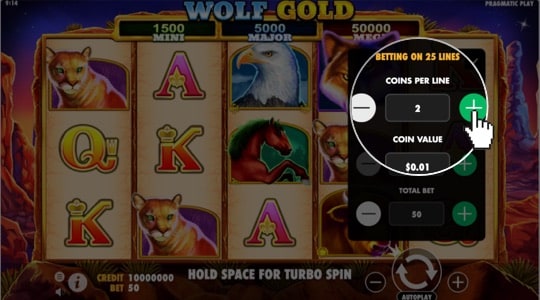 Determine the coins per Payline