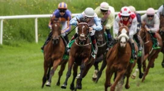 Horse race